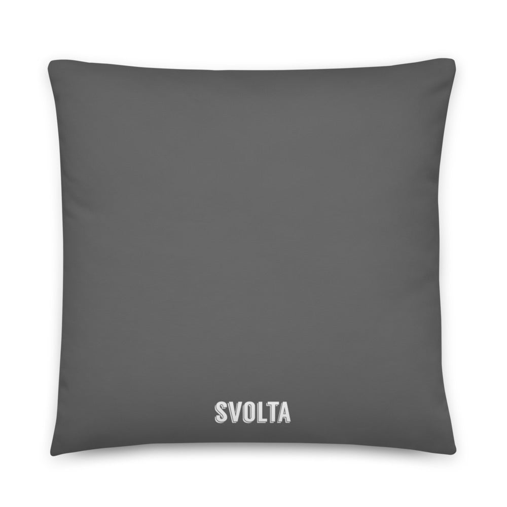 SVOLTA Phoenix Throw Pillow 18"x18" or 22"x22" - Teal and Grey